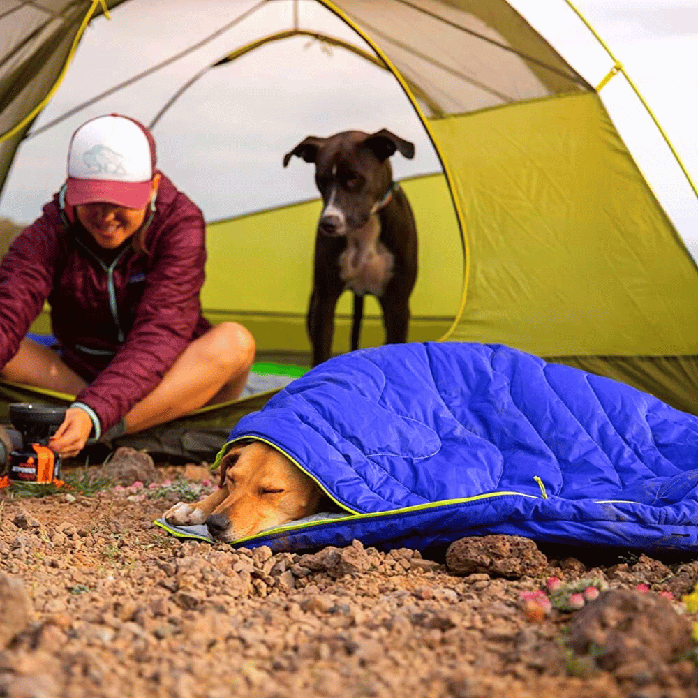 Learn How I Improved BEST CAMPING BED FOR DOGS In 2 Days!