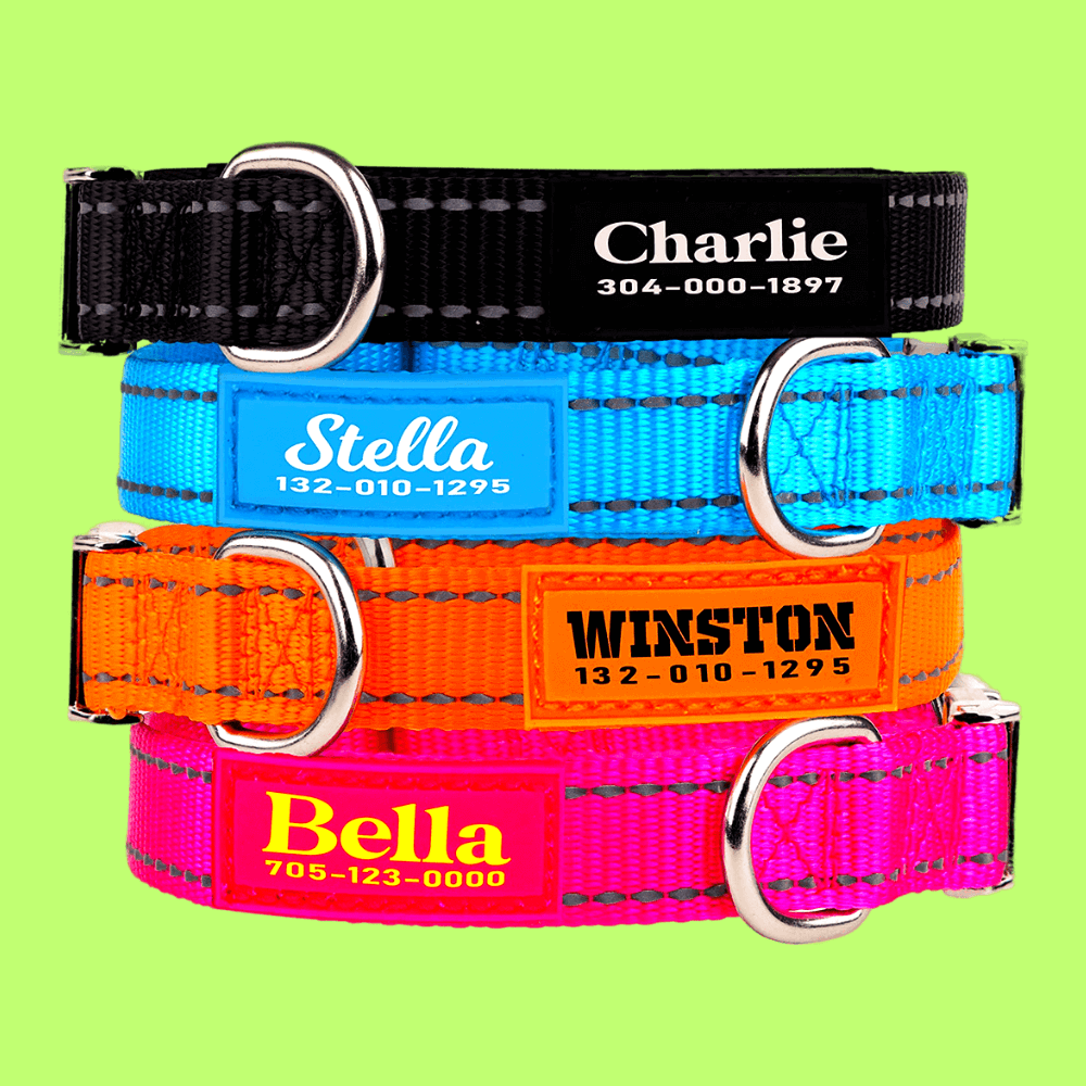 WHAT? Dog Owners! Nameplates + Collars Are Game-Changer!